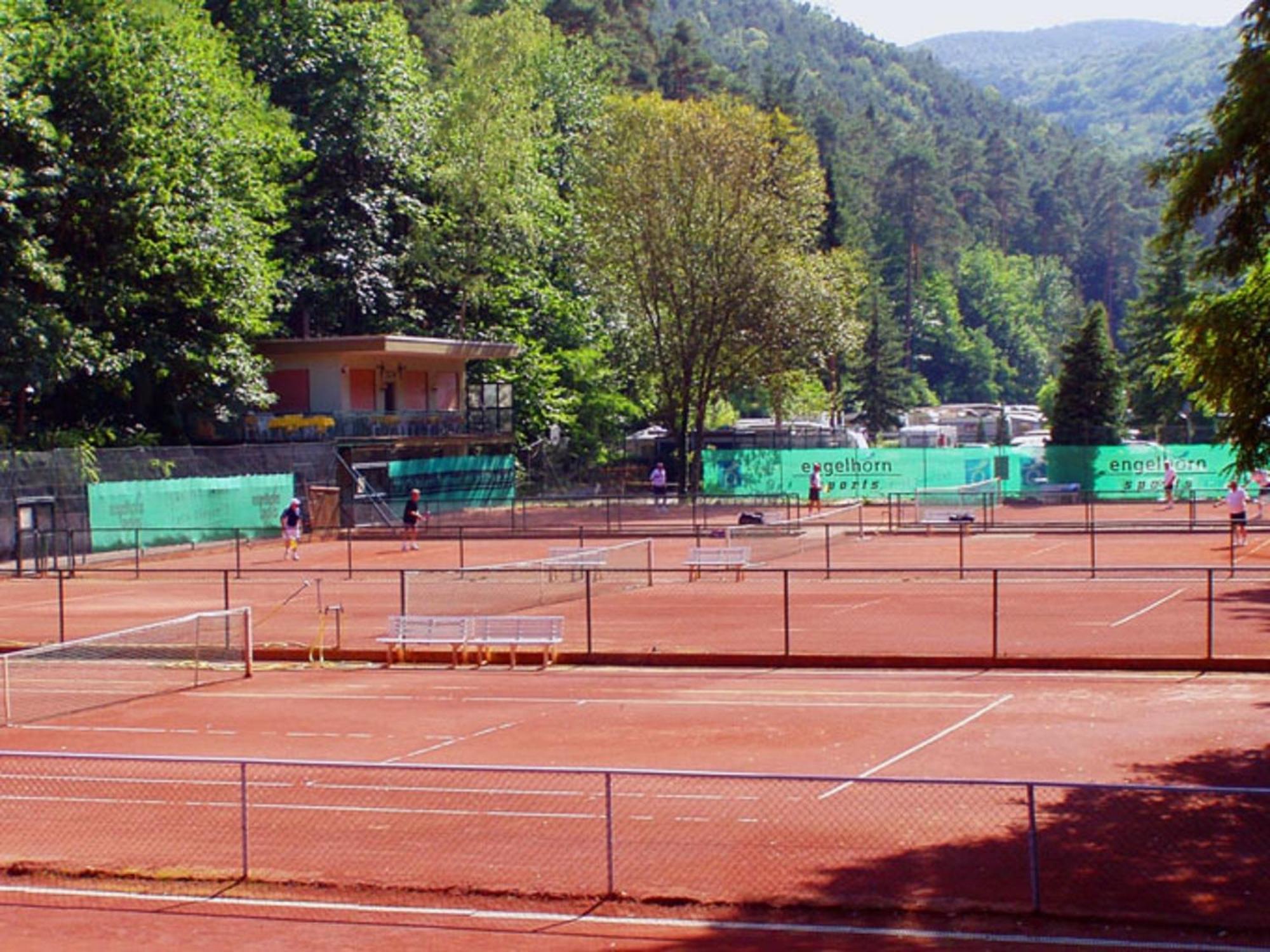 Wachenheim an der Weinstraße Hotel Goldbaechel מראה חיצוני תמונה